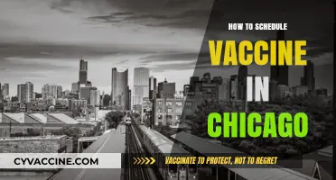 Navigating Vaccine Scheduling in Chicago: A Step-by-Step Guide