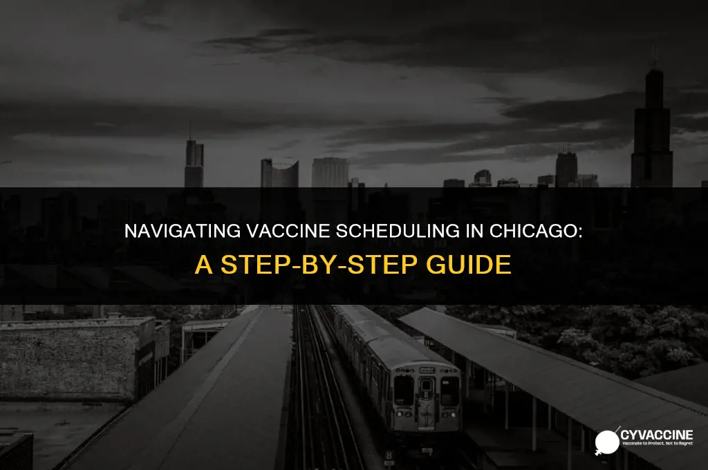 how to schedule vaccine in chicago