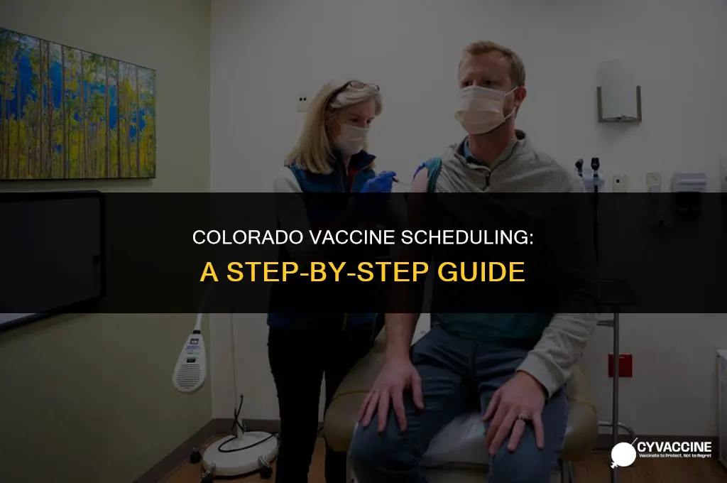 how to schedule vaccine in colorado