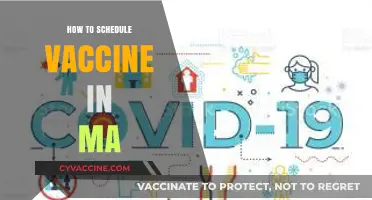 Effortless Vaccine Scheduling in Massachusetts: A Step-by-Step Guide