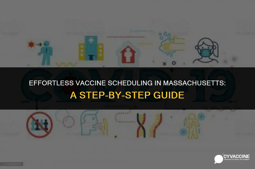 how to schedule vaccine in ma