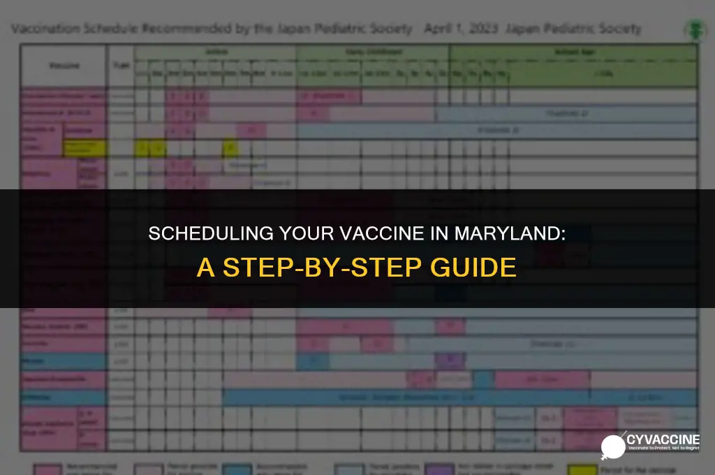 how to schedule vaccine in maryland