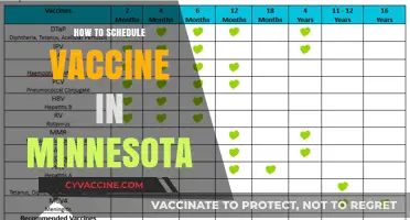 Minnesota Vaccine Scheduling: A Step-by-Step Guide