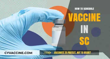 Effortless Vaccine Scheduling in South Carolina: A Step-by-Step Guide