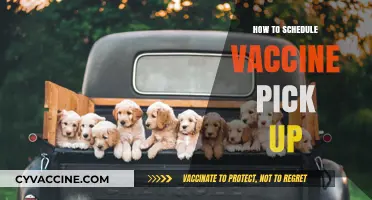 Efficient Vaccine Pickup: A Step-by-Step Scheduling Guide