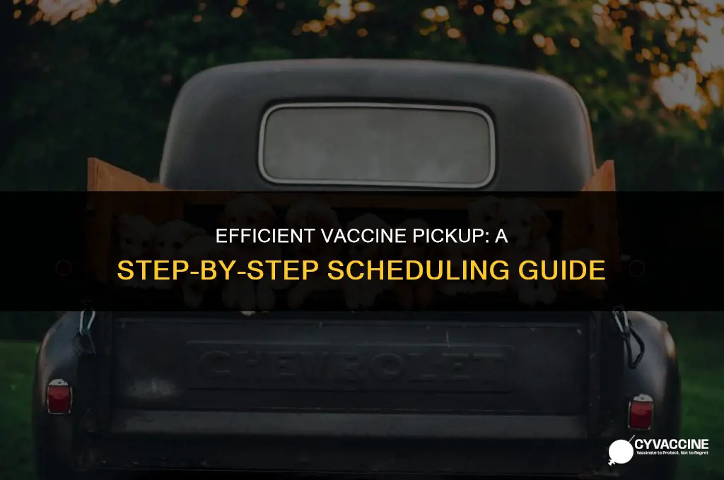 how to schedule vaccine pick up