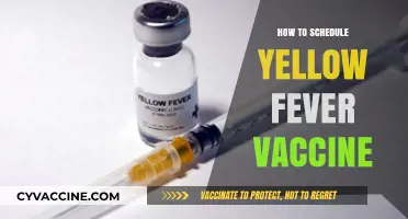 Planning Your Yellow Fever Vaccination: A Step-by-Step Guide
