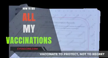 Track Your Shots: A Complete Guide to Viewing Your Vaccination Records