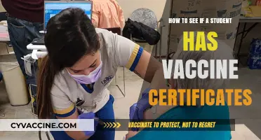 Verifying Student Vaccine Certificates: A Step-by-Step Guide for Schools