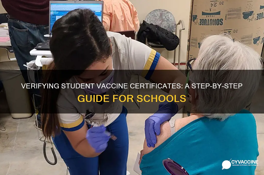 how to see if a student has vaccine certificates