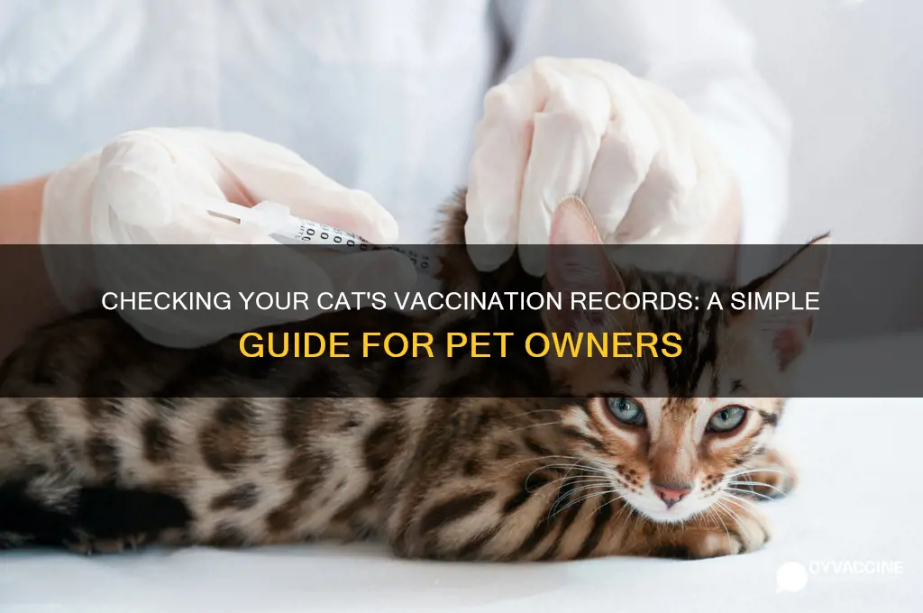 how to see what a cat is vaccinated for