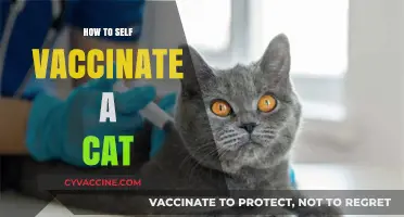 DIY Feline Immunization: A Step-by-Step Guide to Safely Vaccinating Your Cat at Home