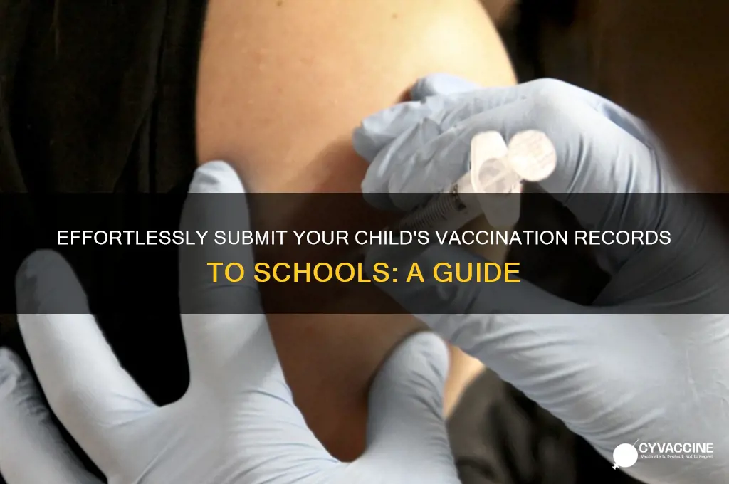 how to send a vaccination record to schools