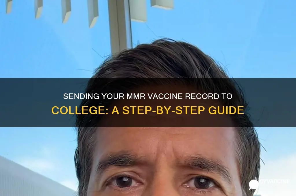 how to send mmr vaccine record to college