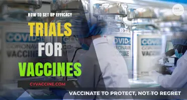 Mastering Vaccine Efficacy Trials: A Comprehensive Setup Guide