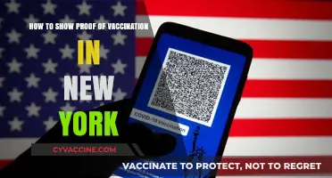How to Show Proof of Vaccination in New York Easily