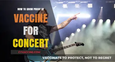 Concert Entry Simplified: Your Guide to Presenting Vaccine Proof