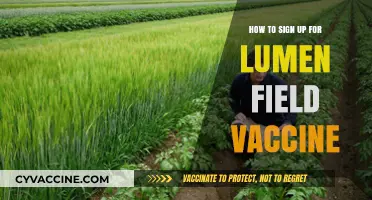 Step-by-Step Guide to Registering for Lumen Field Vaccine Appointments