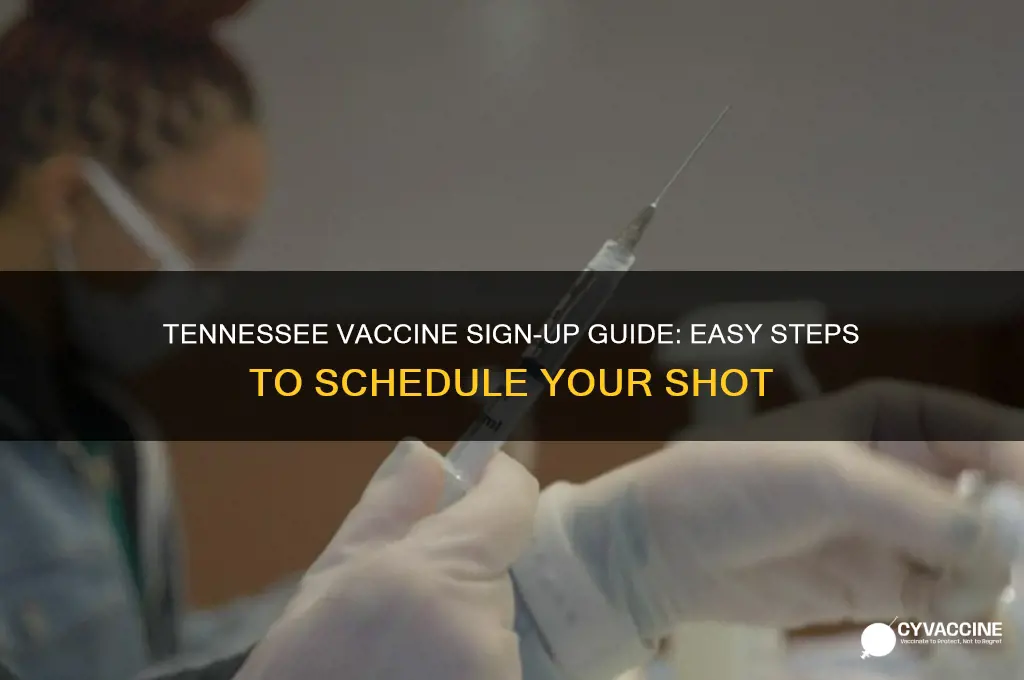 how to sign up for the vaccine in tennessee