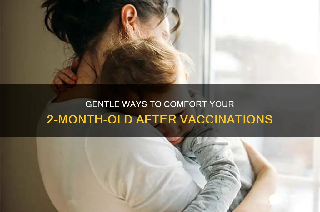 how to soothe 2 month old after vaccines