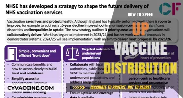 Accelerating Vaccine Distribution: Strategies for Efficient Rollout