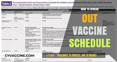 Optimizing Vaccine Timing: A Guide to Spacing Your Shots
