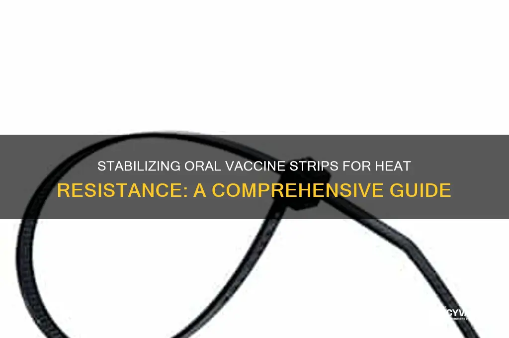 how to stabilize oral vaccine strips to survive hot temperature