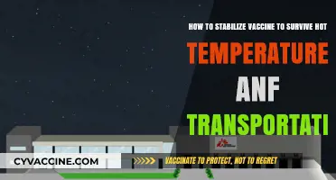 Stabilizing Vaccines: Heat-Resistant Solutions for Safe Global Transportation