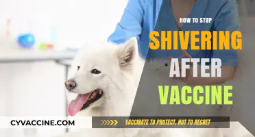 Post-Vaccine Shivers: Effective Ways to Find Relief Quickly
