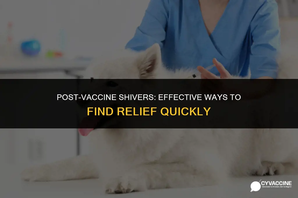 how to stop shivering after vaccine