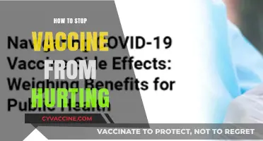 Safeguarding Health: Strategies to Mitigate Vaccine Side Effects