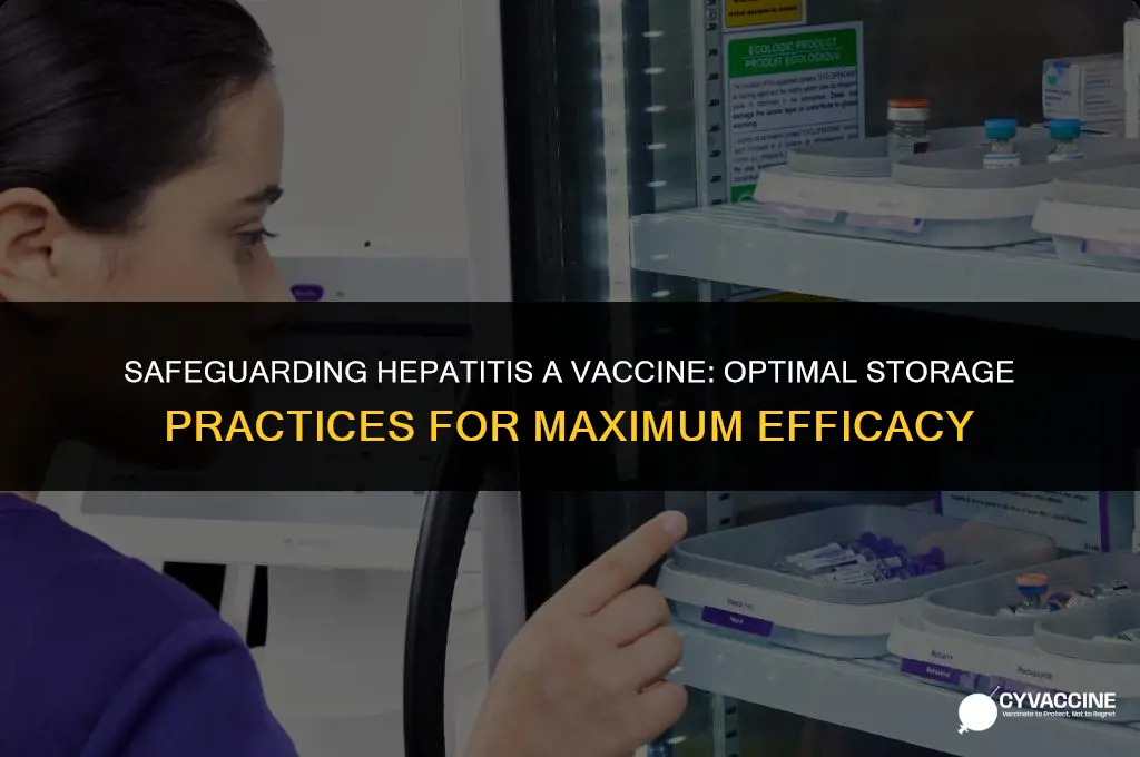 how to store hep a vaccine