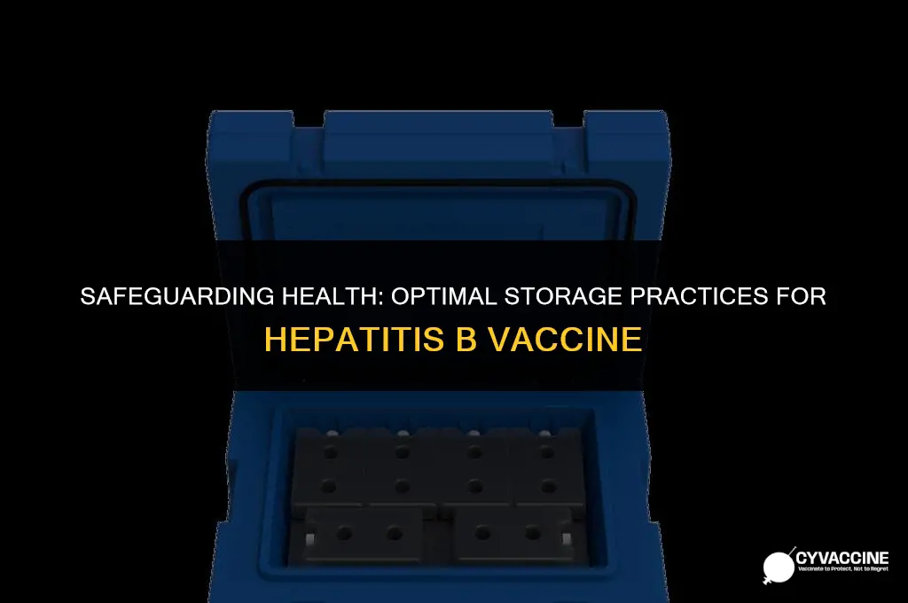how to store hepatitis b vaccine