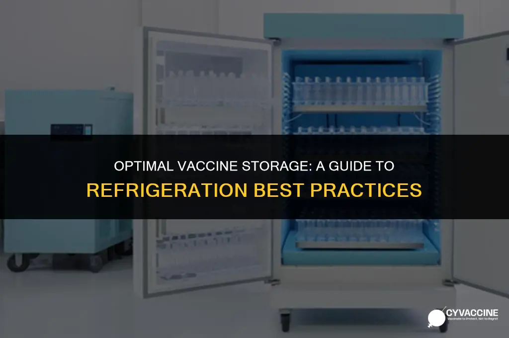 how to store vaccines in fridge