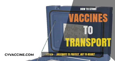 Safe Vaccine Storage and Transportation: A Comprehensive Guide