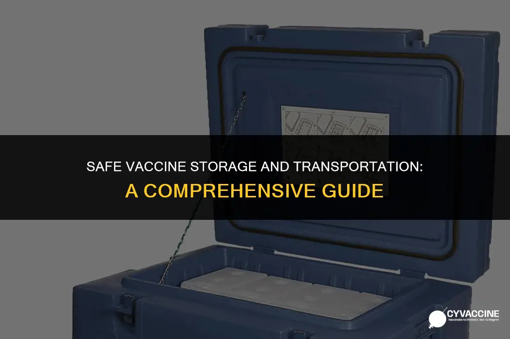 how to store vaccines to transport