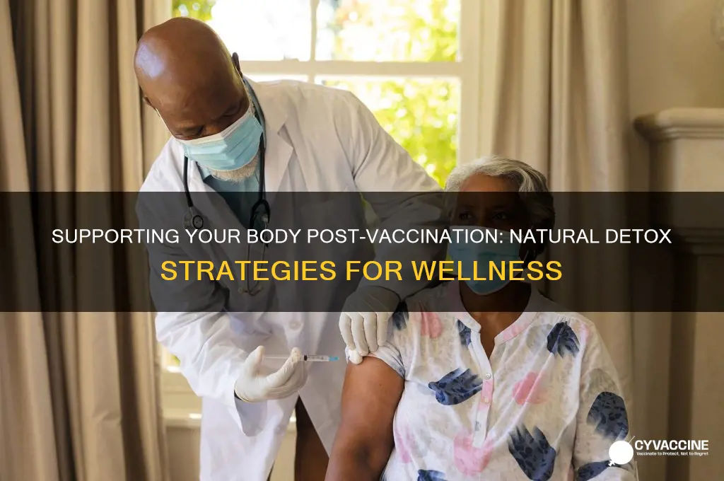 how to support the body through vaccination detox