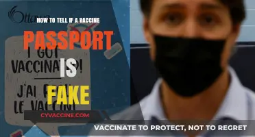 Spotting Fake Vaccine Passports: Essential Tips for Verification and Security