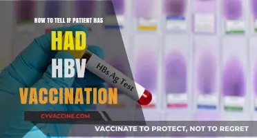 Identifying HBV Vaccination Status: Key Indicators and Testing Methods