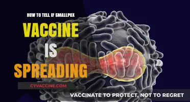 Identifying Smallpox Vaccine Transmission: Key Signs and Monitoring Strategies