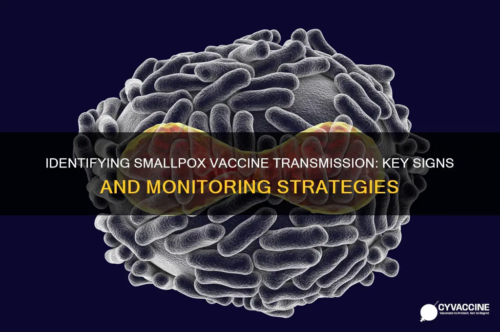 how to tell if smallpox vaccine is spreading