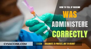 Ensuring Proper Vaccine Administration: Key Signs and Verification Steps