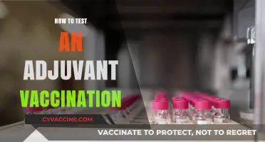 Exploring Adjuvant Vaccinations: A Comprehensive Testing Guide