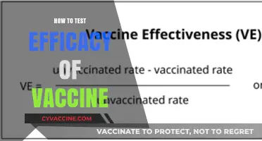 Evaluating Vaccine Efficacy: A Comprehensive Guide
