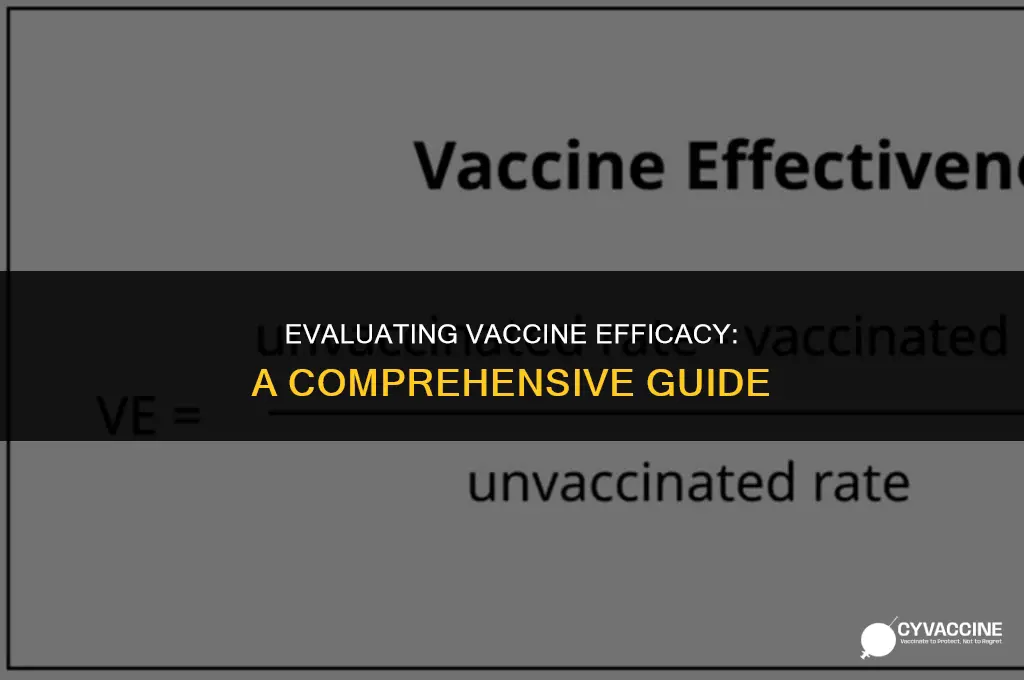 how to test efficacy of vaccine