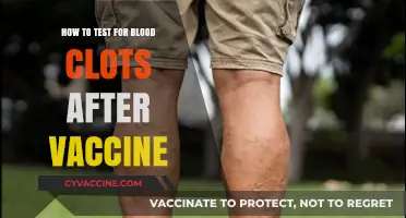 Post-Vaccine Blood Clot Testing: Essential Steps and Symptoms to Monitor