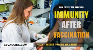 Testing Hepatitis Immunity Post-Vaccination: A Comprehensive Guide