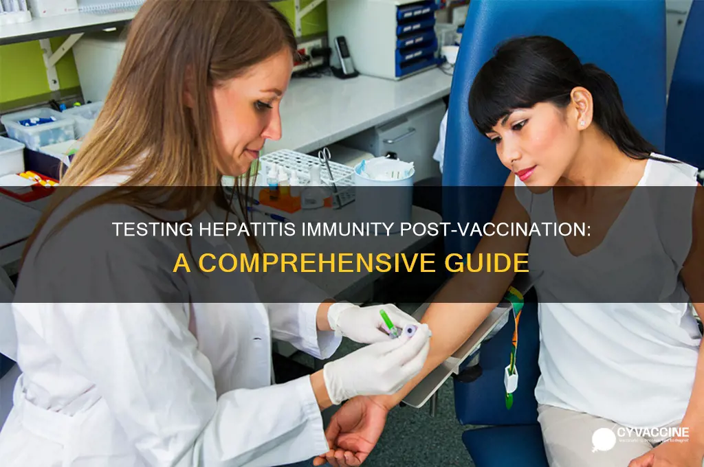 how to test for hepatitis immunity after vaccination