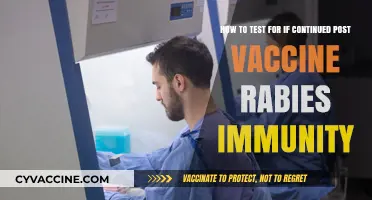 Testing Post-Vaccine Rabies Immunity: Ensuring Long-Term Protection Strategies