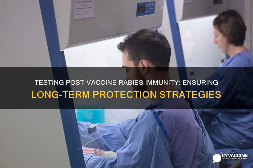 how to test for if continued post vaccine rabies immunity